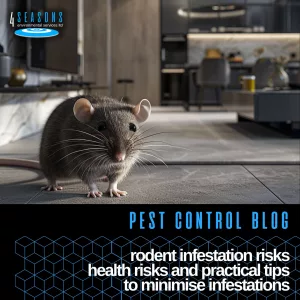 Rodent infestation risks, health risks and practical tips blog